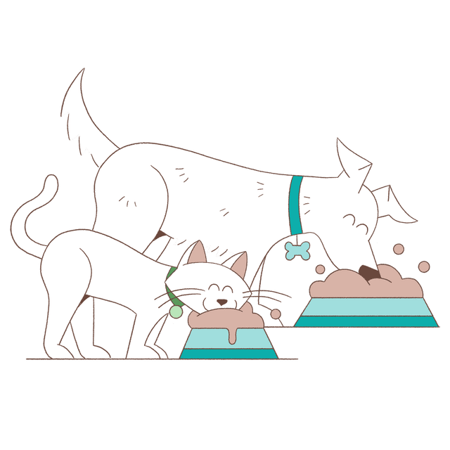 Alimentazione corretta cane e gatto